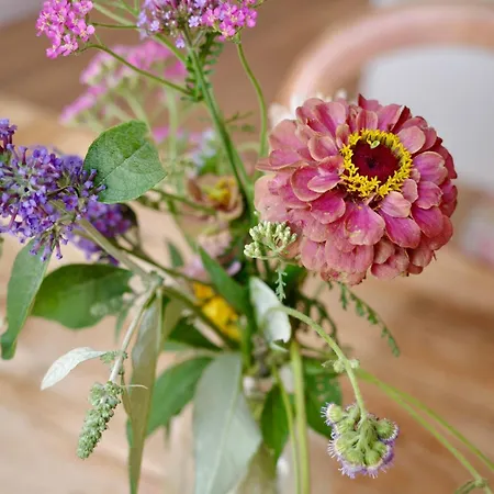 Colorful And Beautiful In The Jordaan! Apartamento *